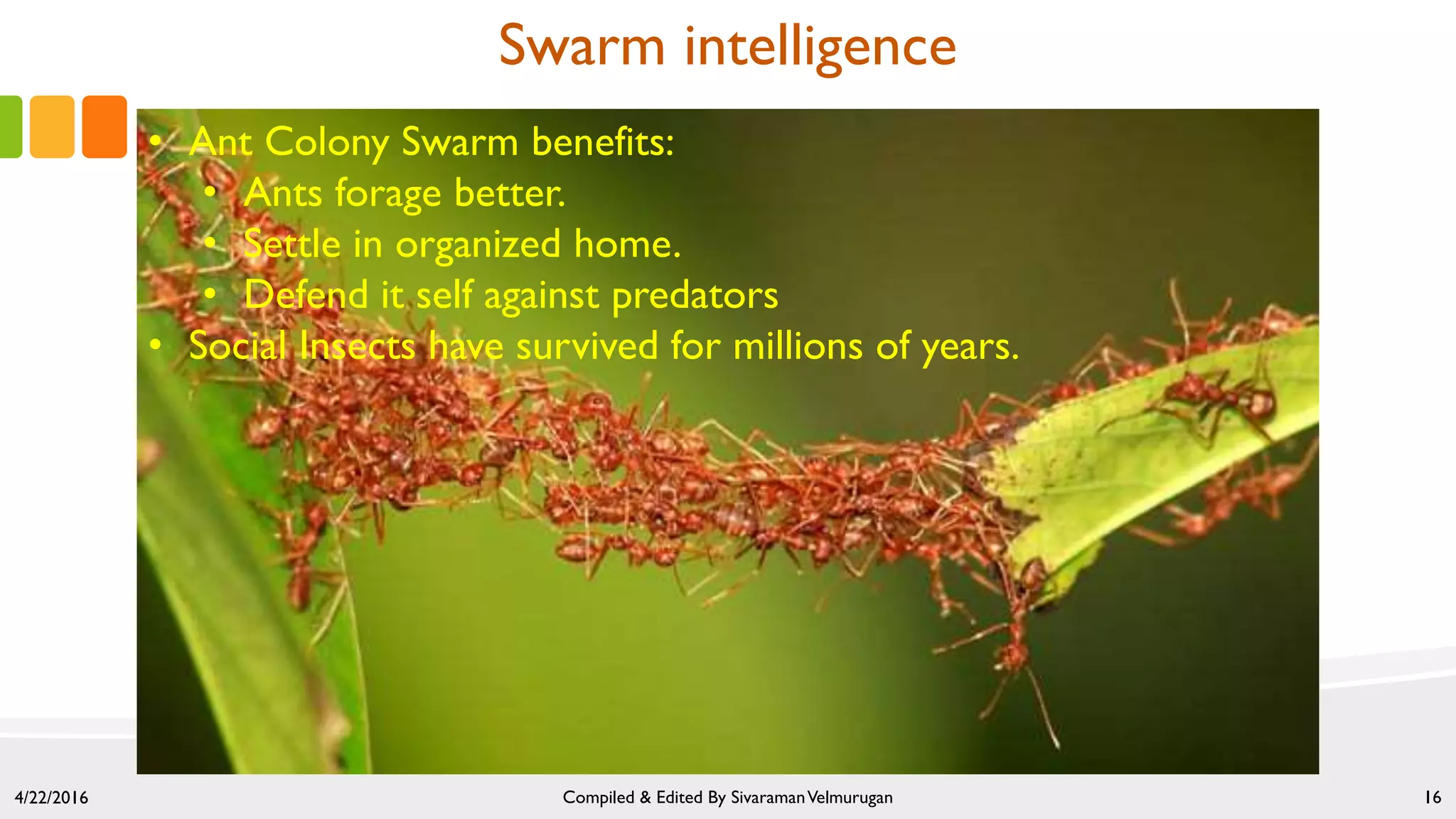 4/22/2016 Compiled & Edited By SivaramanVelmurugan 16
Swarm intelligence
• Ant Colony Swarm benefits:
• Ants forage better.
• Settle in organized home.
• Defend it self against predators
• Social Insects have survived for millions of years.
 