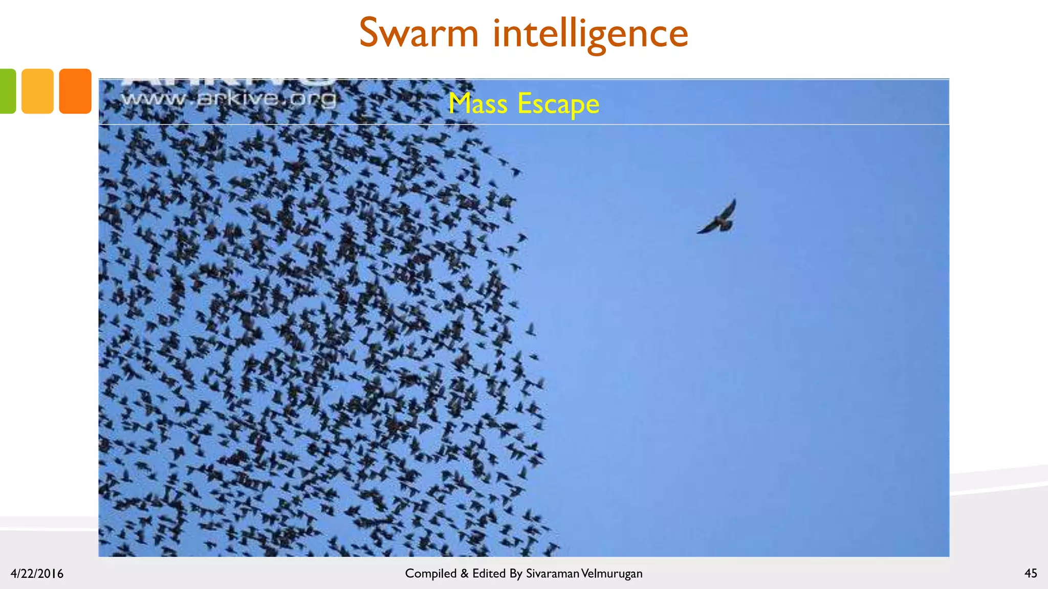 4/22/2016 Compiled & Edited By SivaramanVelmurugan 45
Mass Escape
Swarm intelligence
 