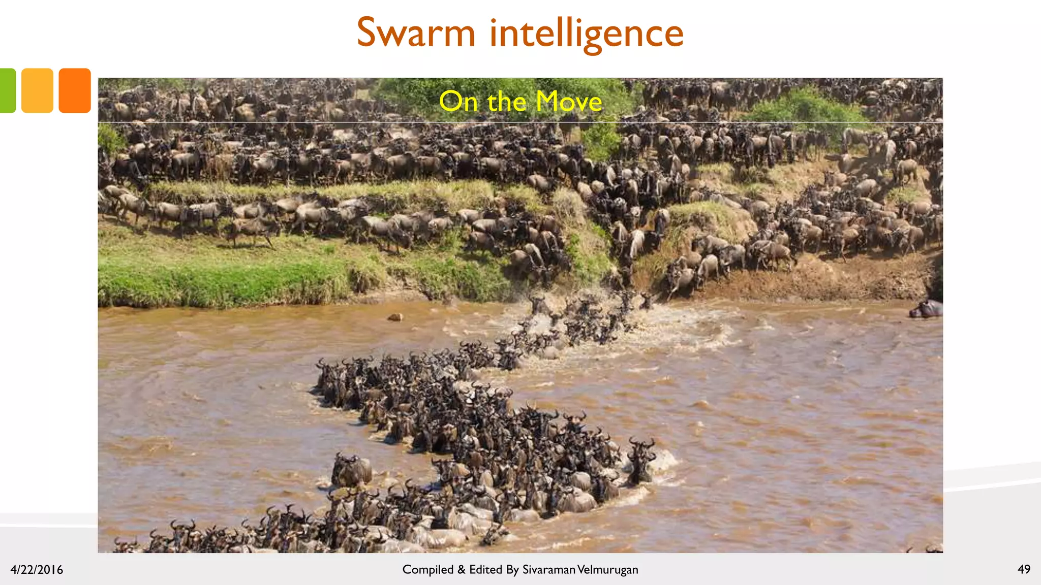 4/22/2016 Compiled & Edited By SivaramanVelmurugan 49
On the Move
Swarm intelligence
 