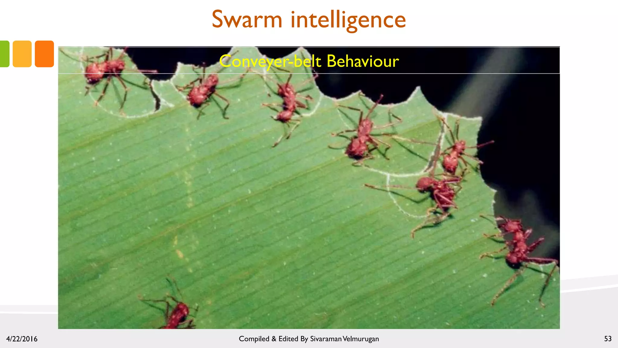 4/22/2016 Compiled & Edited By SivaramanVelmurugan 53
Conveyer-belt Behaviour
Swarm intelligence
 