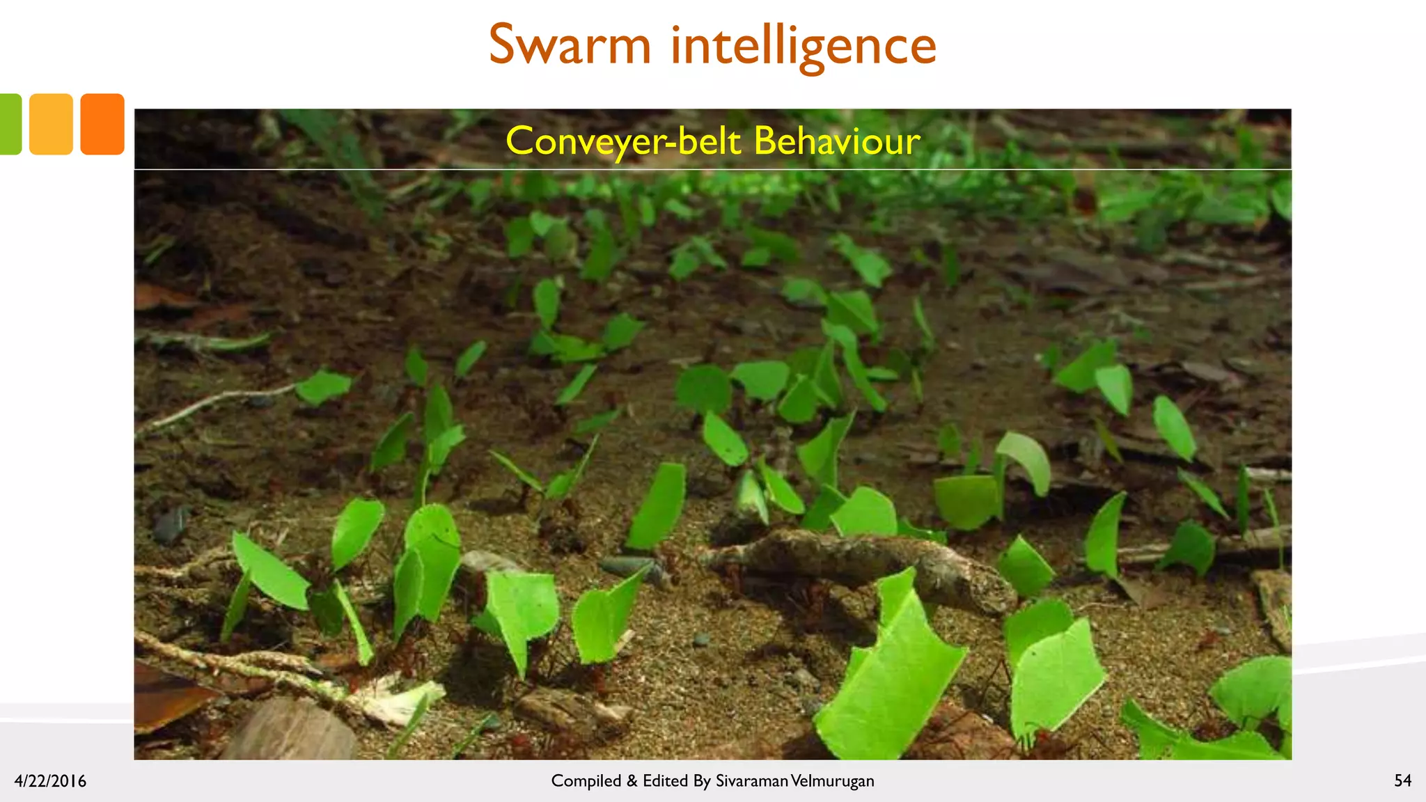 4/22/2016 Compiled & Edited By SivaramanVelmurugan 54
Conveyer-belt Behaviour
Swarm intelligence
 