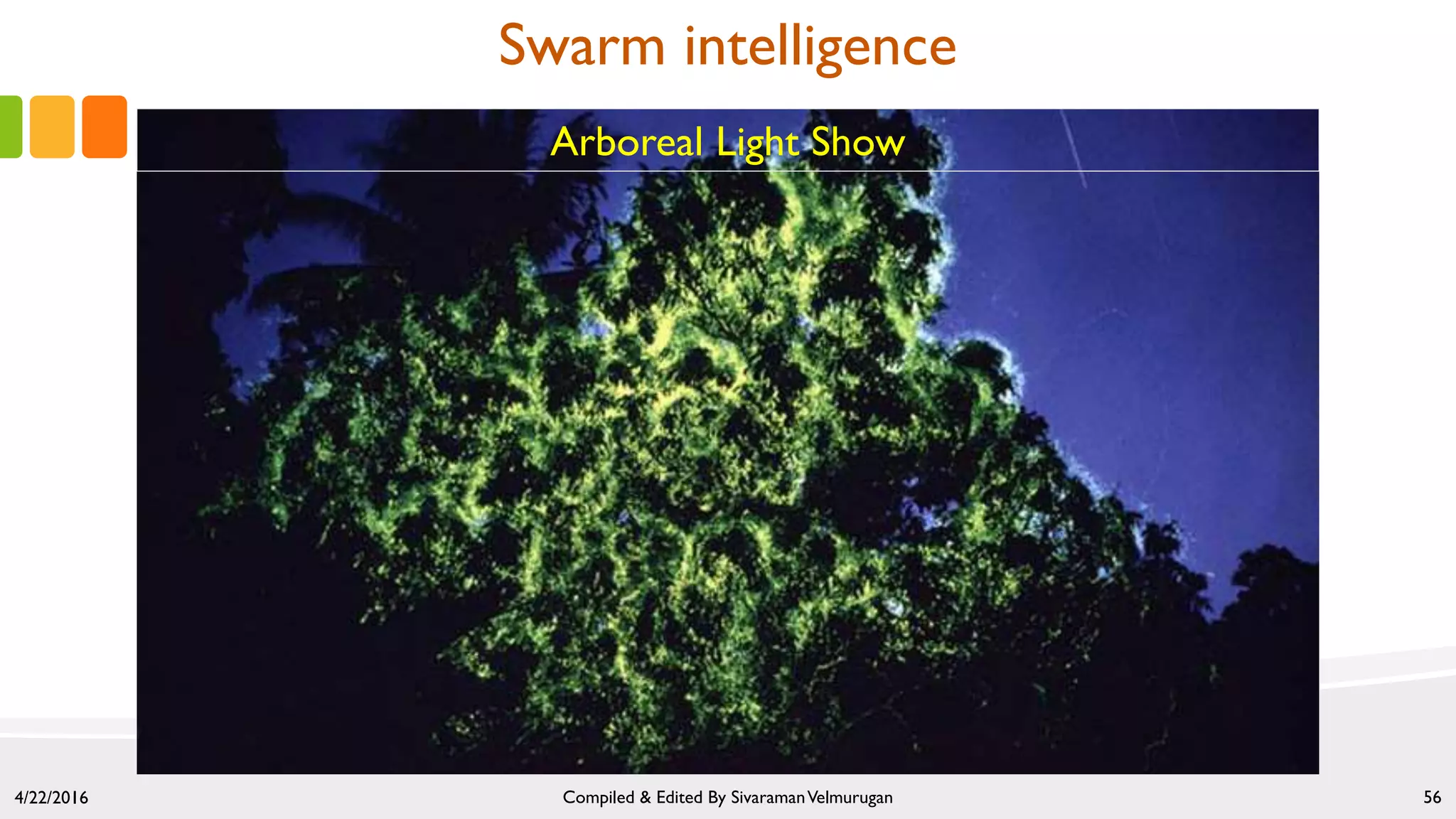 4/22/2016 Compiled & Edited By SivaramanVelmurugan 56
Arboreal Light Show
Swarm intelligence
 