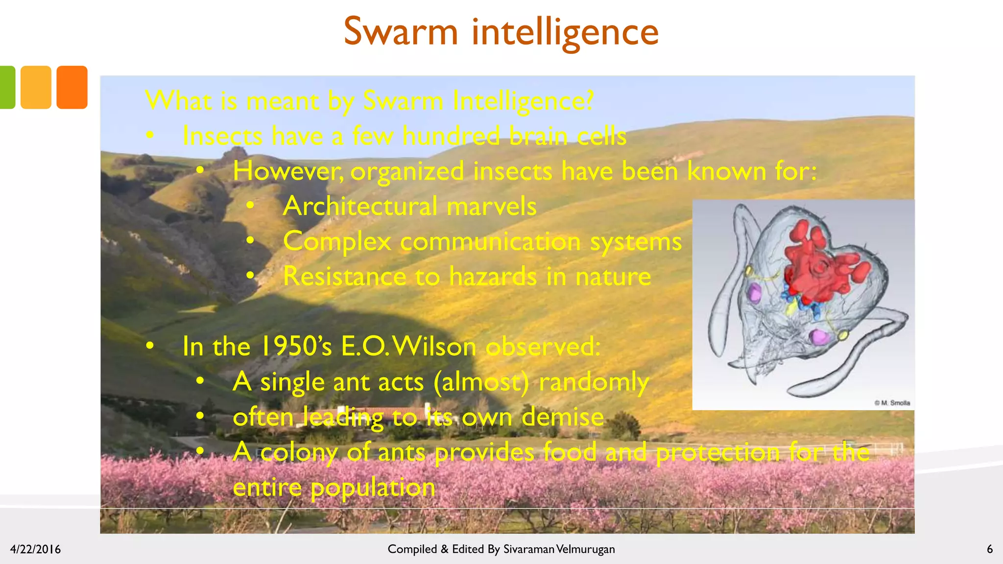 Swarm intelligence
What is meant by Swarm Intelligence?
• Insects have a few hundred brain cells
• However, organized insects have been known for:
• Architectural marvels
• Complex communication systems
• Resistance to hazards in nature
• In the 1950’s E.O.Wilson observed:
• A single ant acts (almost) randomly
• often leading to its own demise
• A colony of ants provides food and protection for the
entire population
4/22/2016 Compiled & Edited By SivaramanVelmurugan 6
 