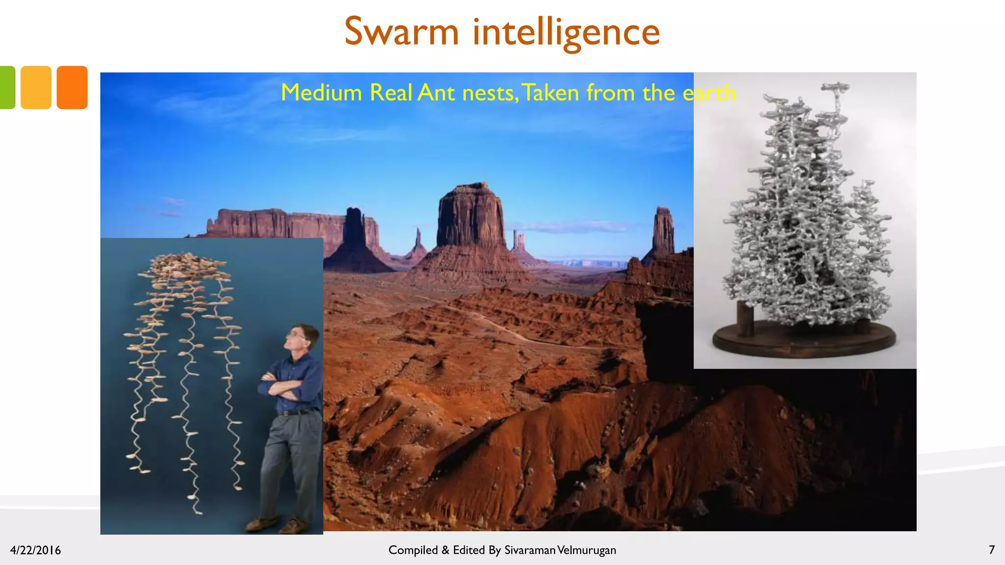 Swarm intelligence
4/22/2016 Compiled & Edited By SivaramanVelmurugan 7
Medium Real Ant nests,Taken from the earth
 