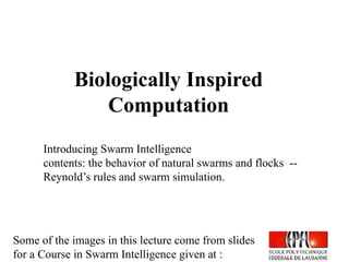 swarm intelligence bio inspired computing.pptx