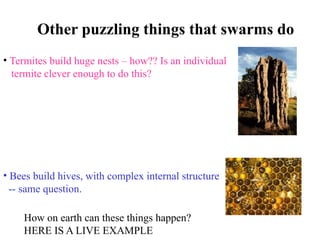 swarm intelligence bio inspired optimization.pptx