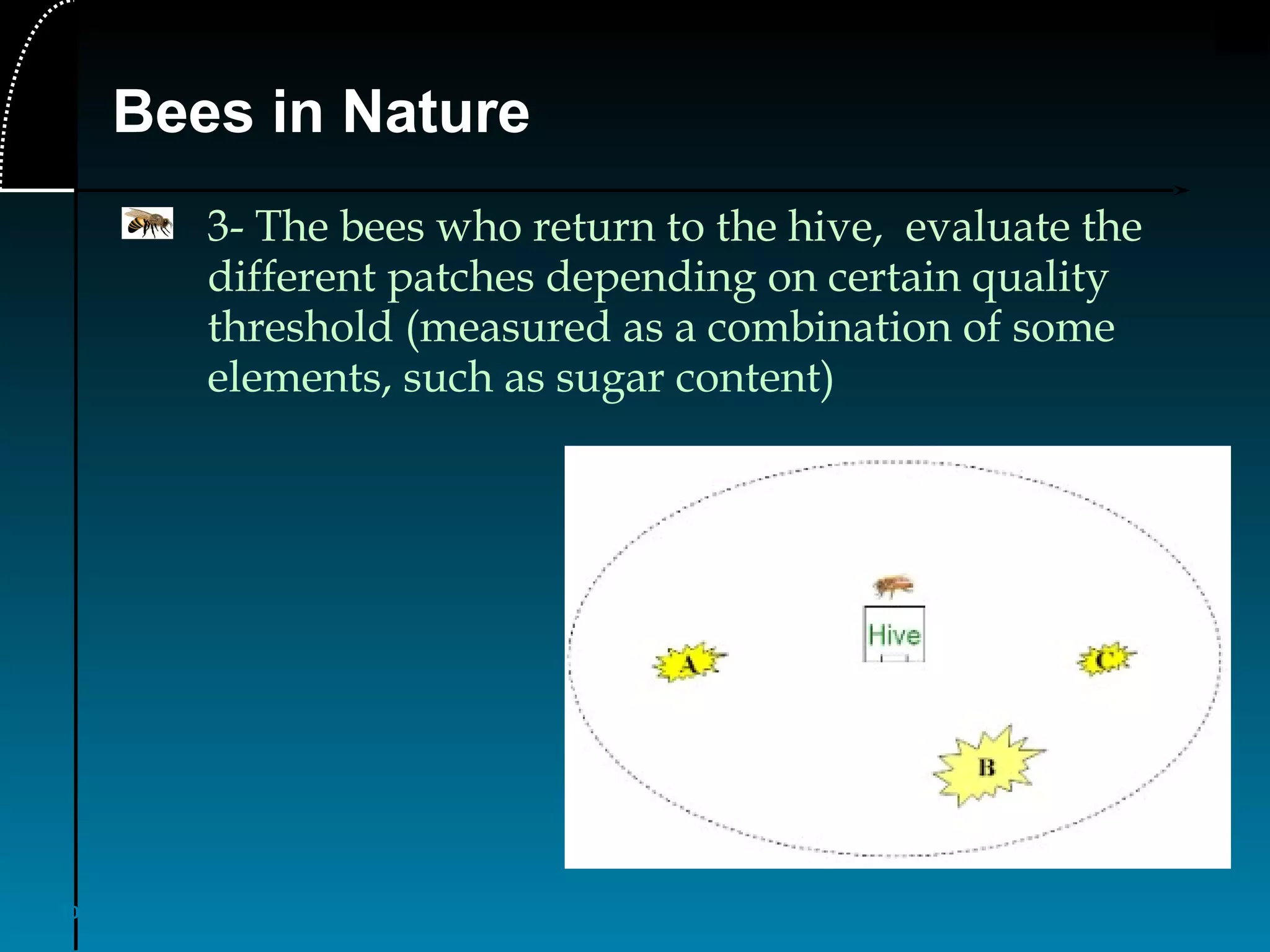 10
Bees in Nature
3- The bees who return to the hive, evaluate the
different patches depending on certain quality
threshold (measured as a combination of some
elements, such as sugar content)
 