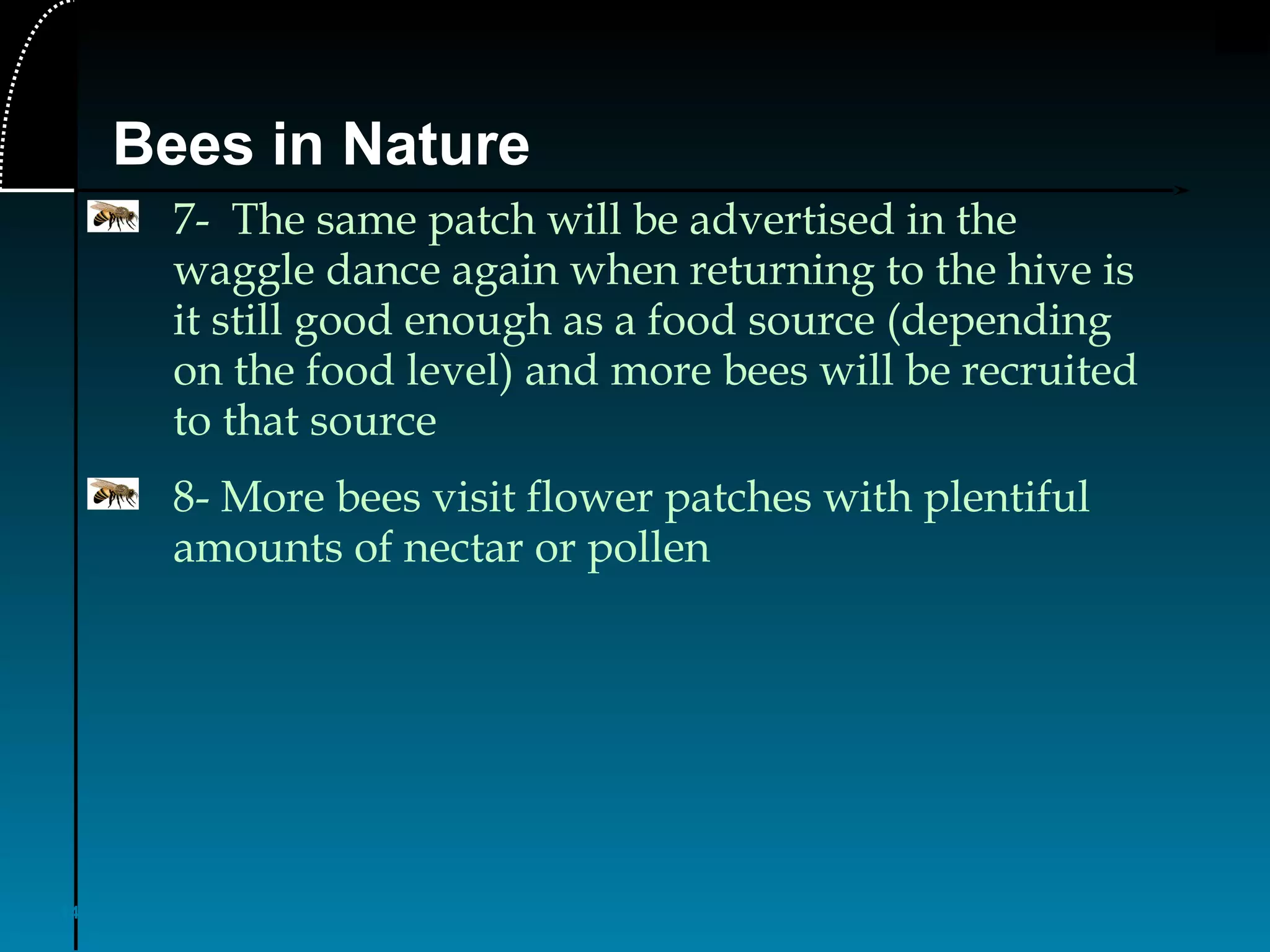 14
Bees in Nature
7- The same patch will be advertised in the
waggle dance again when returning to the hive is
it still good enough as a food source (depending
on the food level) and more bees will be recruited
to that source
8- More bees visit flower patches with plentiful
amounts of nectar or pollen
 