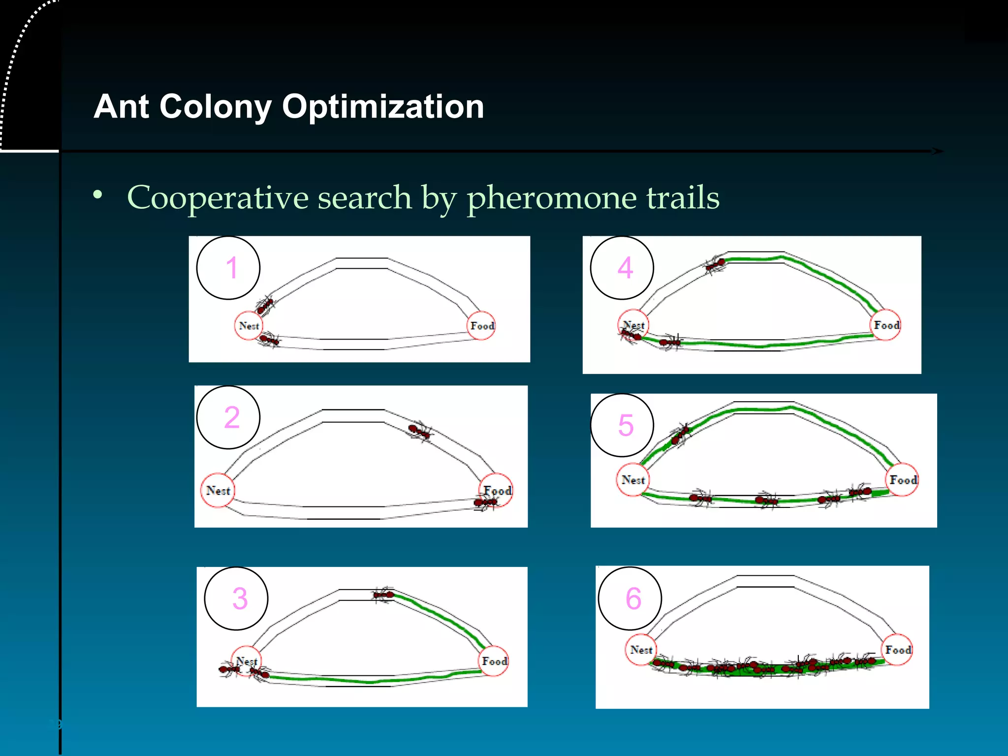 39
Ant Colony Optimization
• Cooperative search by pheromone trails
1
2
3
4
5
6
 