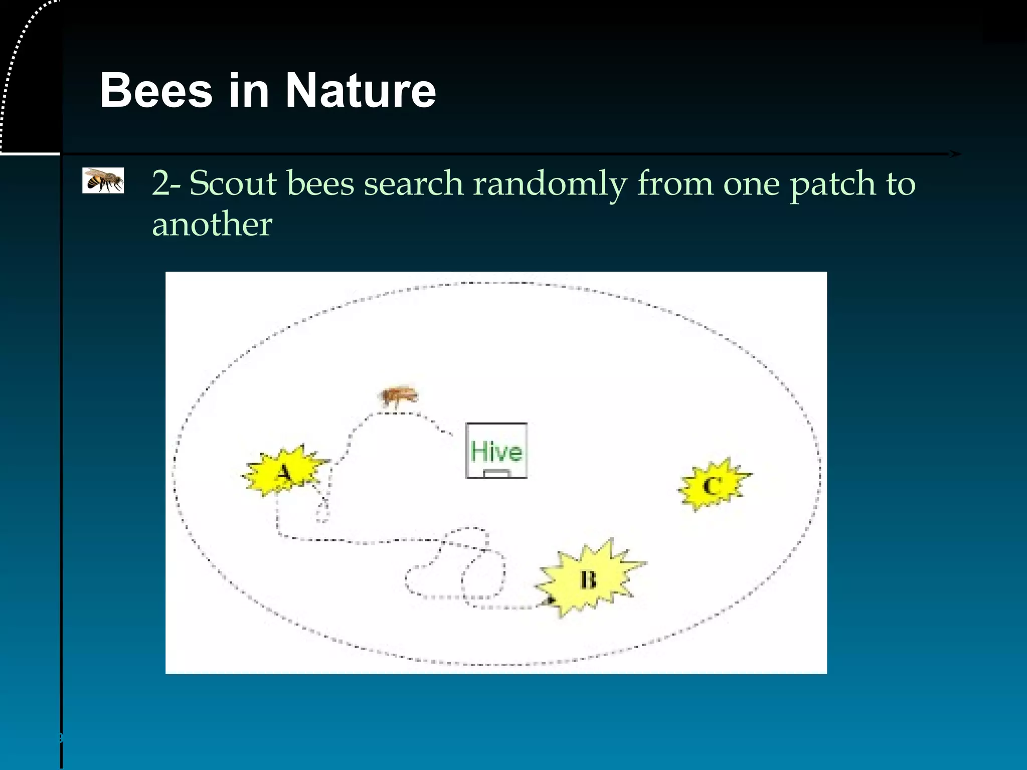 9
Bees in Nature
2- Scout bees search randomly from one patch to
another
 