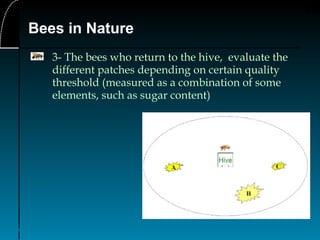10
Bees in Nature
3- The bees who return to the hive, evaluate the
different patches depending on certain quality
threshold (measured as a combination of some
elements, such as sugar content)
 