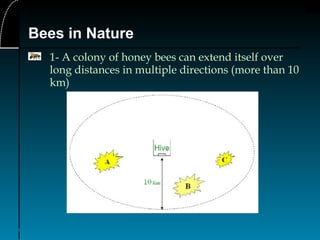 8
Bees in Nature
1- A colony of honey bees can extend itself over
long distances in multiple directions (more than 10
km)
 