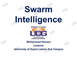 Swarm
Intelligence
Muhammad Haroon
Lecturer
University of Gujrat Lahore Sub Campus
 