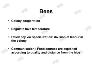 Swarm intelligence and particle swarm optimization | PDF
