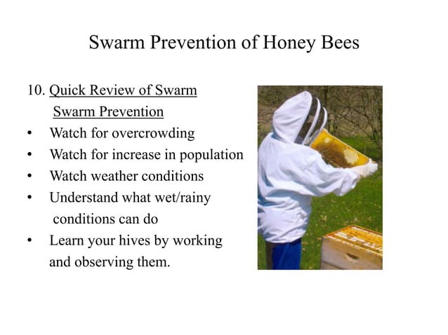 Swarm Prevention For Honey Bees | PPT