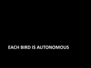 EACH BIRD IS AUTONOMOUS
 