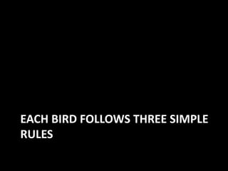 EACH BIRD FOLLOWS THREE SIMPLE
RULES
 