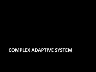 COMPLEX ADAPTIVE SYSTEM
 