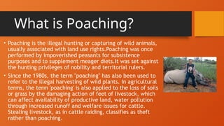 Poaching Rights Book /,LKMJHYGTFRDESZA=-POIUYTRESWDCFVGHJ,./420 | PPTX