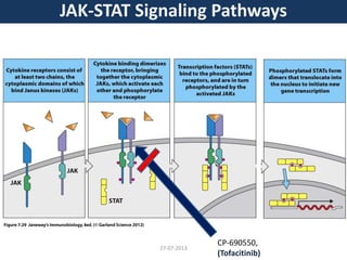 JAK-STAT Signaling Pathways
CP-690550,
(Tofacitinib)
27-07-2013
 
