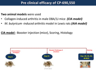 Two animal models were used
• Collagen-induced arthritis in male DBA/1J mice (CIA model)
• M. butyricum -induced arthritis model in Lewis rats (AIA model)
CIA model - Booster injection (mice), Scoring, Histology
Day 0 Day 21 Day- 29, 34, 43,
48 &55
Immunization
(Collagen)
Booster Challenge of
emulsion
Scoring
27-07-2013
 