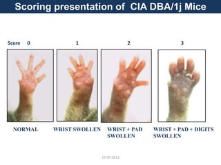 Score 1 2 3
NORMAL WRIST SWOLLEN WRIST + PAD
SWOLLEN
WRIST + PAD + DIGITS
SWOLLEN
0
Scoring presentation of CIA DBA/1j Mice
27-07-2013
 