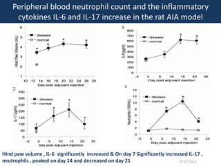 Peripheral blood neutrophil count and the inflammatory
cytokines IL-6 and IL-17 increase in the rat AIA model
Hind paw volume , IL-6 significantly increased & On day 7 Significantly increased IL-17 ,
neutrophils , peaked on day 14 and decreased on day 21 27-07-2013
 