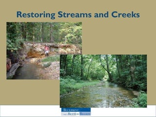 Restoring Streams and Creeks 