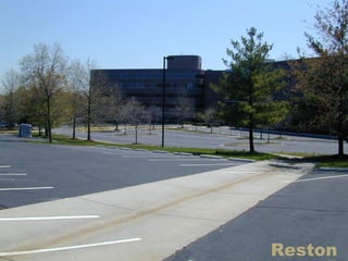 Reston 