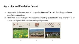 The Aggression Behaviour in animal behavioural biology | PPTX