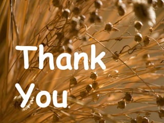 Thank
You
 
