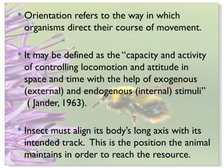 Comprehensive Overview of Insect Orientation and Behavioral Causes | PPTX