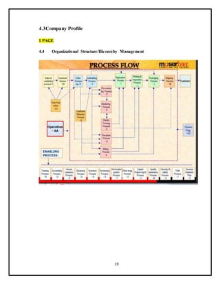 19
4.3Company Profile
1 PAGE
4.4 Organizational Structure/Hierarchy Management
 