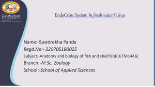 EndoCrine System In fresh water Fishes
Name:-Swatirekha Panda
Regd.No:- 220705180025
Subject:-Anatomy and biology of fish and shellfish(CUTM1446)
Branch:-M.Sc. Zoology
School:-School of Applied Sciences
 