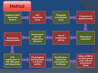 Environmental Stress and Microorganisms | PPTX