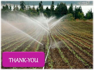 THANK-YOU
 