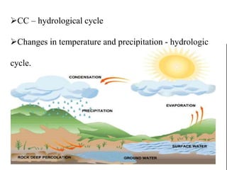 CC – hydrological cycle
Changes in temperature and precipitation - hydrologic
cycle.
 