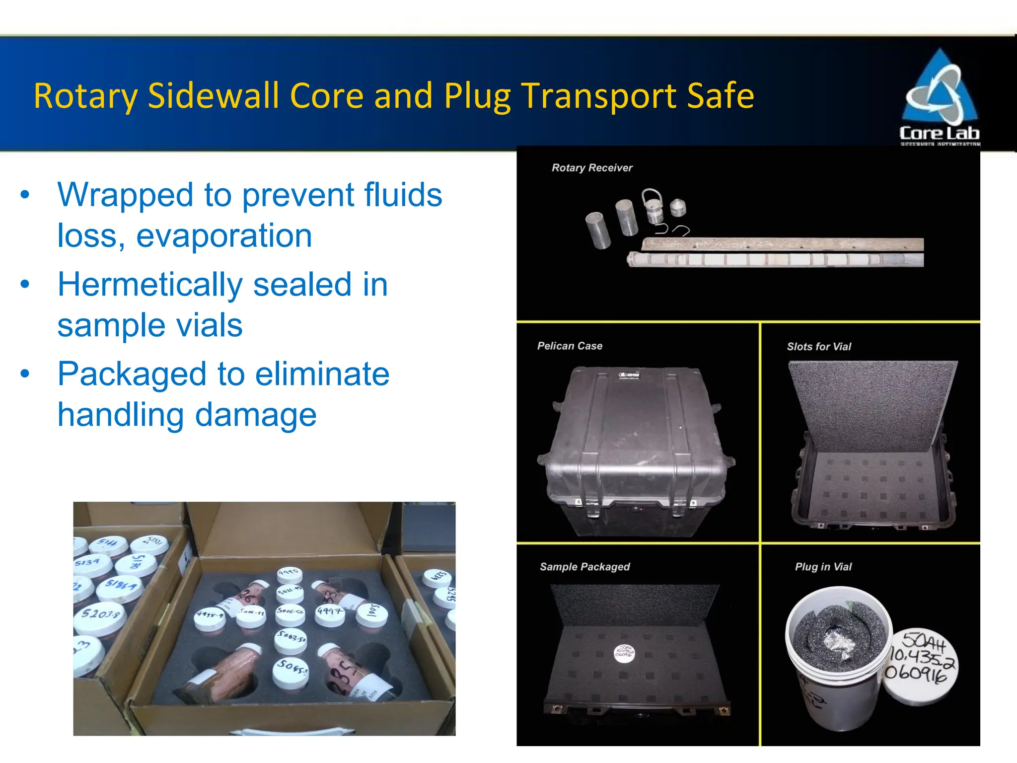 Side Wall Core Analyses - Can we get a value? | PDF