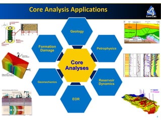Side Wall Core Analyses - Can we get a value? | PDF