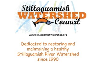 www.stillaguamishwatershed.org



 Dedicated to restoring and
      maintaining a healthy
Stillaguamish River Watershed
           since 1990
 