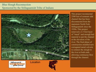 Blue Slough Reconnection
Sponsored by the Stillaguamish Tribe of Indians

                                                  This project reconnected
                                                  2500 feet of remnant side
                                                  channel that has been
                                                  disconnected from the
                                                  mainstem North Fork
                                                  Stillaguamish since the
                                                  1930s. This project
                                                  removed a 2-3 foot layer
                                                  of "muck" and enough bed
                                                  material to put the channel
                                                  at the elevation of the
                                                  river. The final phase of
                                                  construction installed new
                                                  corrugated metal culverts
                                                  to connect the slough to
                                                  the river at both ends
                                                  allowing continuous flow
                                                  through the channel.

                         Location
 