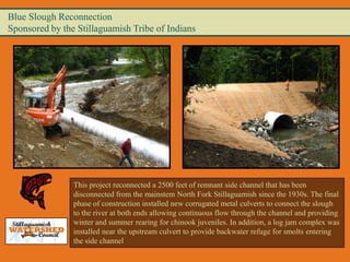 Blue Slough Reconnection
Sponsored by the Stillaguamish Tribe of Indians




                This project reconnected a 2500 feet of remnant side channel that has been
                disconnected from the mainstem North Fork Stillaguamish since the 1930s. The final
                phase of construction installed new corrugated metal culverts to connect the slough
                to the river at both ends allowing continuous flow through the channel and providing
                winter and summer rearing for chinook juveniles. In addition, a log jam complex was
                installed near the upstream culvert to provide backwater refuge for smolts entering
                the side channel
 
