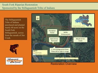 South Fork Riparian Restoration
Sponsored by the Stillaguamish Tribe of Indians



  The Stillaguamish
  Tribe of Indians
  purchased and planted
  nearly 60 acres on the
  South Fork                             Floodplain
  Stillaguamish, across                    Forest             Buffer
                                                           Enhancement
  from the mouth of Jim
  Creek.                                   Bank Armor                      Mouth of Jim
                                            Removed                          Creek




                                            S. Fork Stillaguamish River.
                                            Flows left to right in image




                                           Restoration Overview
 