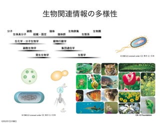 生物関連情報の多様性




                                                   © DBCLS Licensed under CC 表示 2.1 日本




             © DBCLS Licensed under CC 表示 2.1 日本                  CK-12 Foundation


13年3月7日木曜日
 