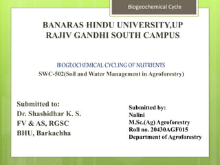 BANARAS HINDU UNIVERSITY,UP
RAJIV GANDHI SOUTH CAMPUS
Submitted to:
Dr. Shashidhar K. S.
FV & AS, RGSC
BHU, Barkachha
Submitted by:
Nalini
M.Sc.(Ag) Agroforestry
Roll no. 20430AGF015
Department of Agroforestry
BIOGEOCHEMICAL CYCLING OF NUTRIENTS
SWC-502(Soil and Water Management in Agroforestry)
Biogeochemical Cycle
 