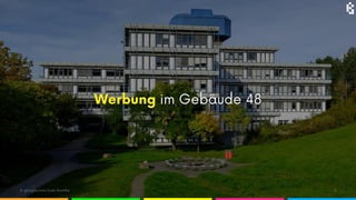 Karriere ist (k)eine Gerade