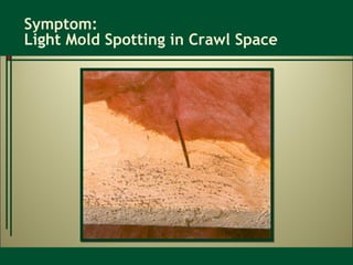Symptom:  Light Mold Spotting in Crawl Space  