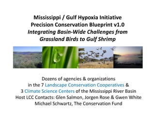Mississippi / Gulf Hypoxia Initiative
Precision Conservation Blueprint v1.0
Integrating Basin-Wide Challenges from
Grassland Birds to Gulf Shrimp
Dozens of agencies & organizations
in the 7 Landscape Conservation Cooperatives &
3 Climate Science Centers of the Mississippi River Basin
Host LCC Contacts: Glen Salmon, Jorgen Rose & Gwen White
Michael Schwartz, The Conservation Fund
 