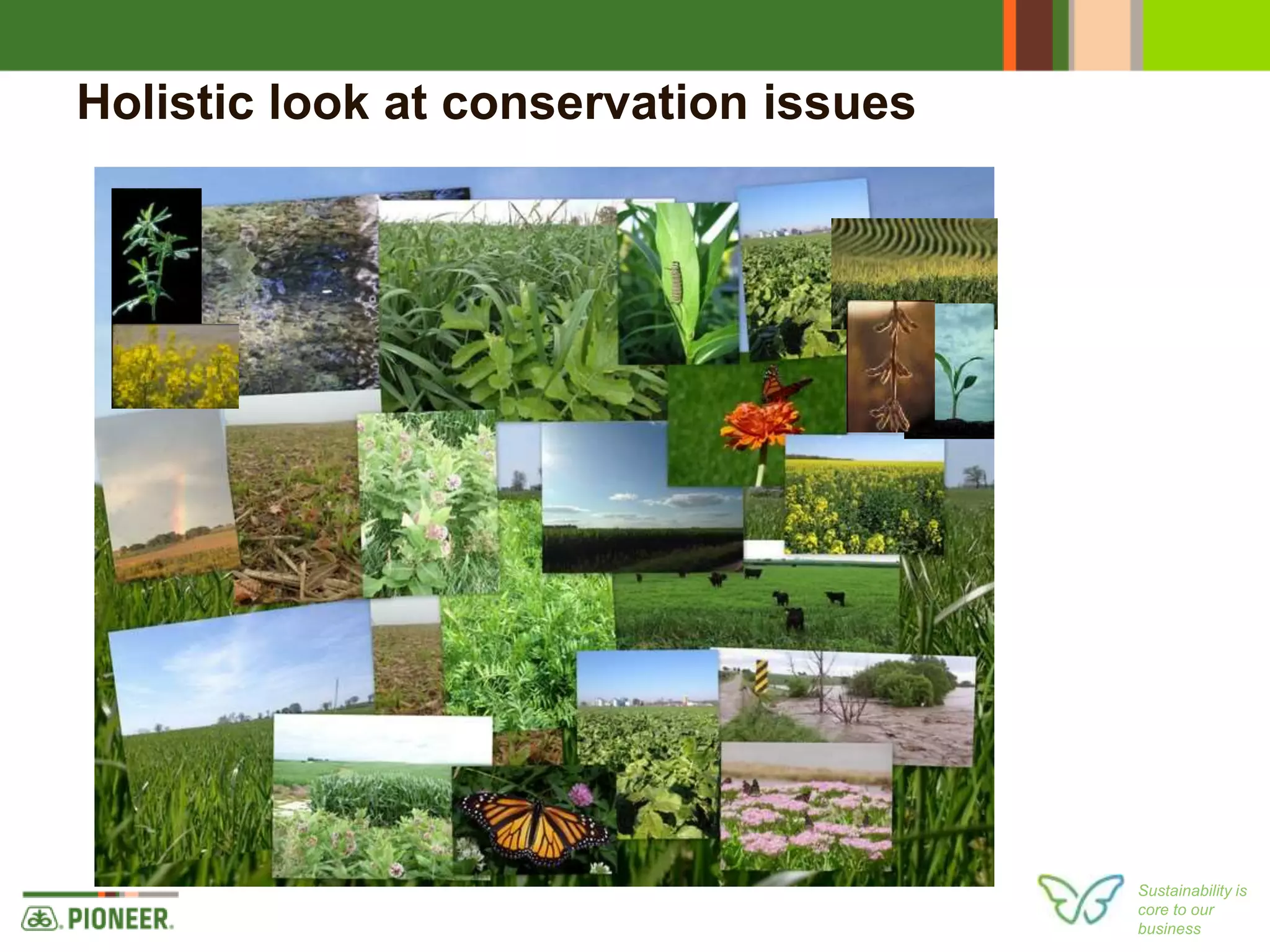 Sustainability is
core to our
business
Holistic look at conservation issues
 