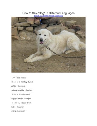 How to Say "Dog" in Different Languages
SWDb.EU (Similar Words’ Database)
‫لب‬ ‫ك‬ - kalb - Arabic
Нохой - Nokhoy - Buryat
ga'lågu - Chamorro
жӏаьла - zh'ală(ə) - Chechen
Киска - Kiska - Erzya
ძაღლი - dzaghli - Georgian
σκύλος - skýlos - Greek
kutya - Hungarian
anjing - Indonesian
 